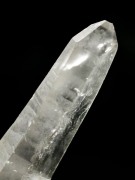 ���C�g�j���O�N�H�[�c<br> ������ g ()