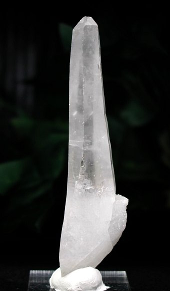 ���C�g�j���O�N�H�[�c ������ g ()