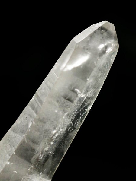 ���C�g�j���O�N�H�[�c ������ g ()