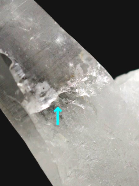 ���C�g�j���O�N�H�[�c ������ g ()