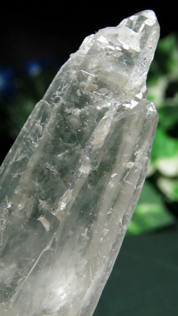 ���C�g�j���O�N�H�[�c ������ 71g (361)