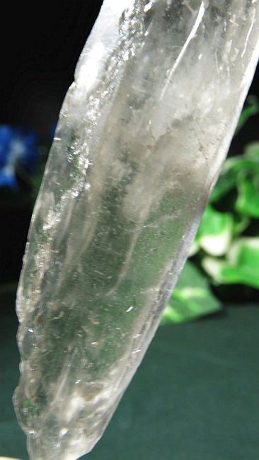 ���C�g�j���O�N�H�[�c ������ 71g (361)