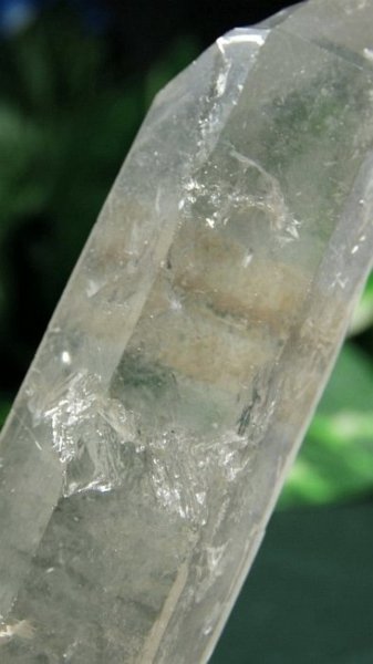 ���C�g�j���O�N�H�[�c ������ 90g (362)