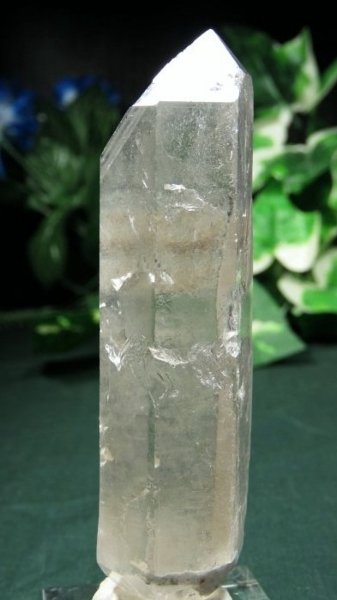 ���C�g�j���O�N�H�[�c ������ 90g (362)