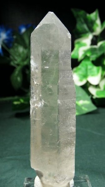 ���C�g�j���O�N�H�[�c ������ 90g (362)