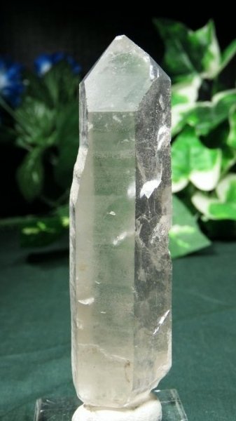 ���C�g�j���O�N�H�[�c ������ 90g (362)