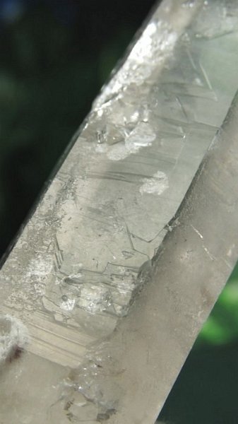 ���C�g�j���O�N�H�[�c ������ 90g (362)