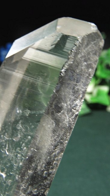 ���C�g�j���O�N�H�[�c ������ 145g (*364)