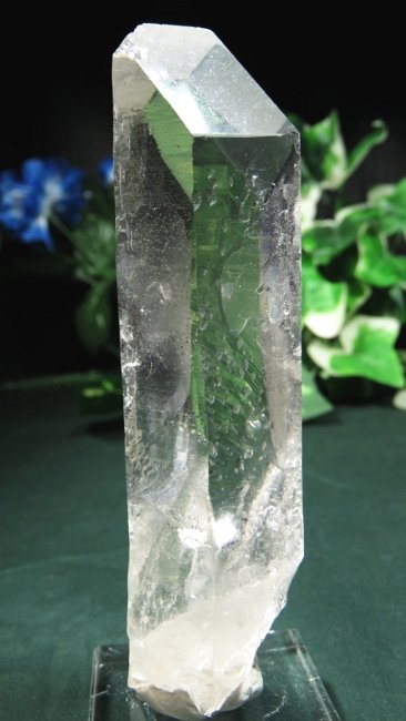 ���C�g�j���O�N�H�[�c ������ 145g (*364)