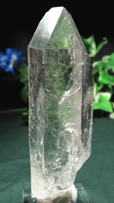 ���C�g�j���O�N�H�[�c ������ 145g (*364)