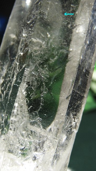 ���C�g�j���O�N�H�[�c ������ 145g (*364)