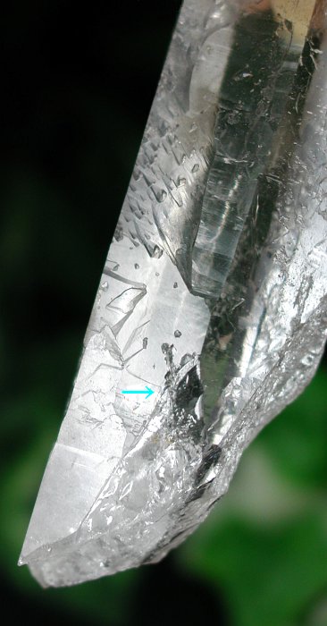 ���C�g�j���O�N�H�[�c ������ 145g (*364)