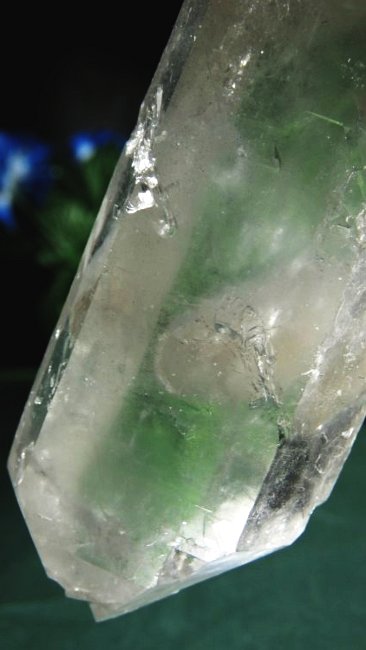 ���C�g�j���O�N�H�[�c ������ 153g (365)