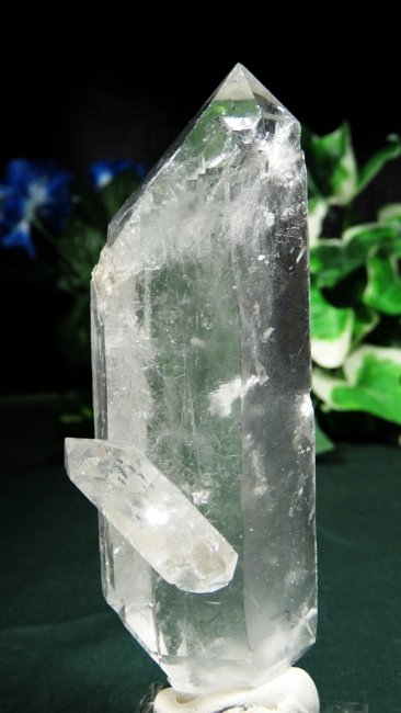 ���C�g�j���O�N�H�[�c ������ 153g (365)