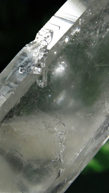 ���C�g�j���O�N�H�[�c ������ 153g (365)