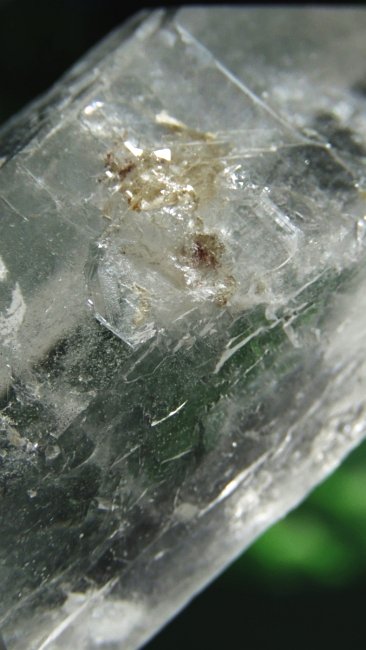 ���C�g�j���O�N�H�[�c ������ 153g (365)