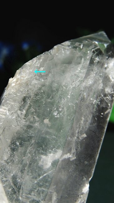 ���C�g�j���O�N�H�[�c ������ 153g (365)