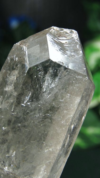 ���C�g�j���O�N�H�[�c ������ 200g (366)