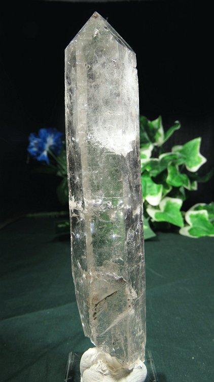 ���C�g�j���O�N�H�[�c ������ 200g (366)