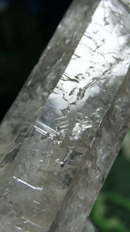 ���C�g�j���O�N�H�[�c ������ 200g (366)