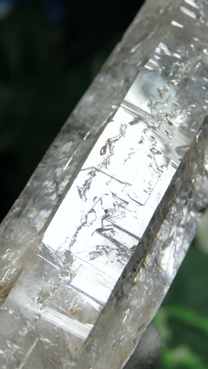 ���C�g�j���O�N�H�[�c ������ 200g (366)