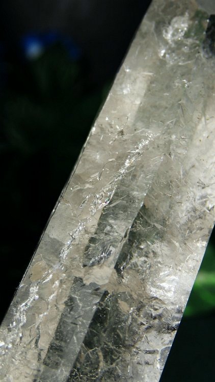 ���C�g�j���O�N�H�[�c ������ 200g (366)