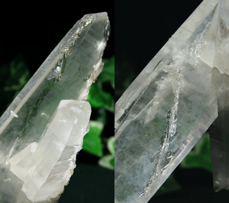 ���C�g�j���O�N�H�[�c ������ 134g (367)