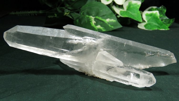 ���C�g�j���O�N�H�[�c ������ 134g (367)