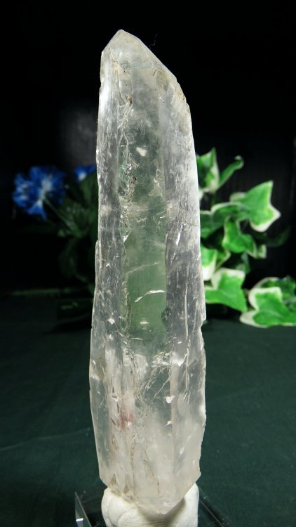 ���C�g�j���O�N�H�[�c ������ 198g (*368)