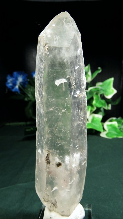 ���C�g�j���O�N�H�[�c ������ 198g (*368)