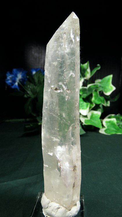 ���C�g�j���O�N�H�[�c ������ 198g (*368)