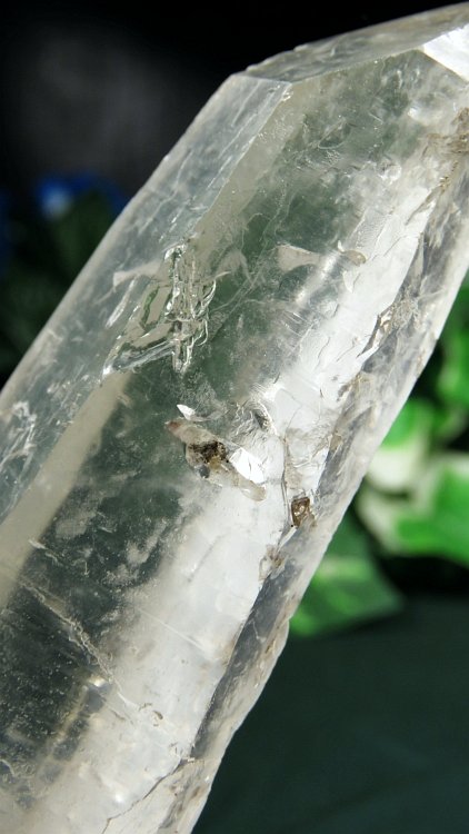 ���C�g�j���O�N�H�[�c ������ 198g (*368)