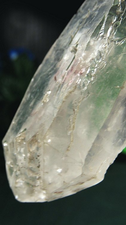 ���C�g�j���O�N�H�[�c ������ 198g (*368)