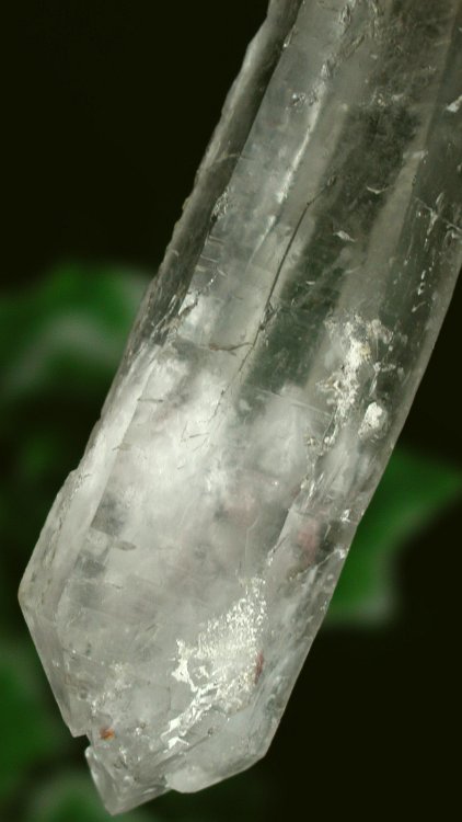 ���C�g�j���O�N�H�[�c ������ 198g (*368)