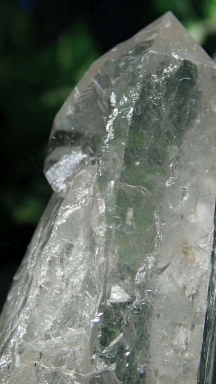 ���C�g�j���O�N�H�[�c ������ 334g (369)