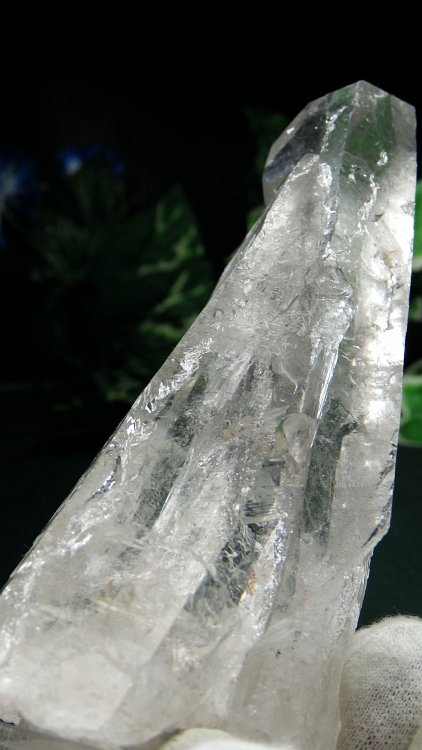 ���C�g�j���O�N�H�[�c ������ 334g (369)