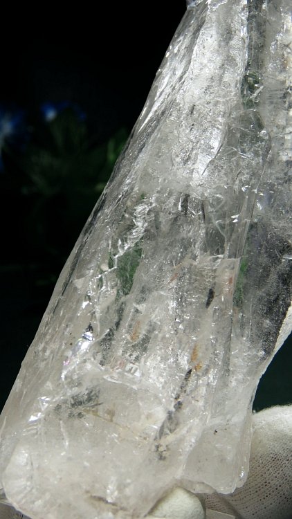 ���C�g�j���O�N�H�[�c ������ 334g (369)