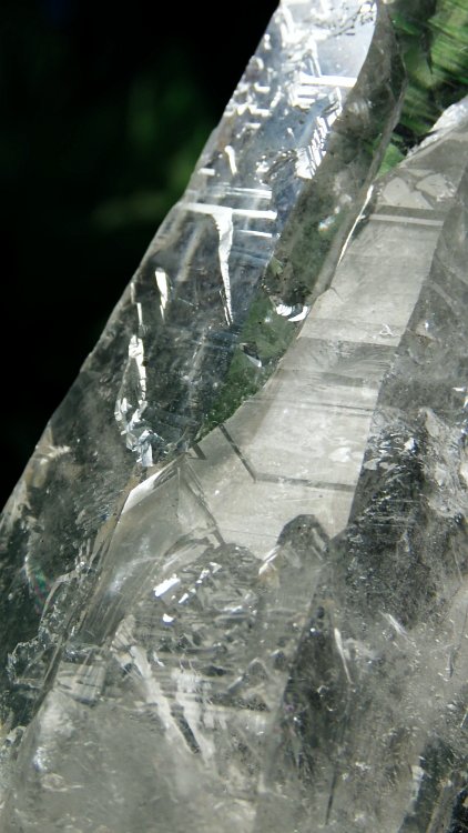 ���C�g�j���O�N�H�[�c ������ 334g (369)