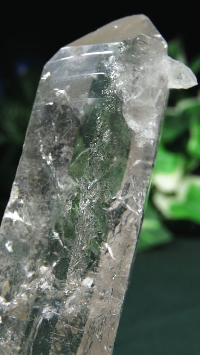 ���C�g�j���O�N�H�[�c ������ 162g (372)