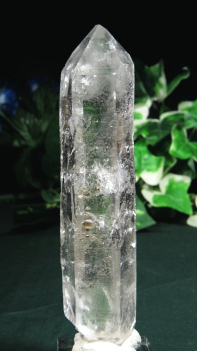 ���C�g�j���O�N�H�[�c ������ 162g (372)