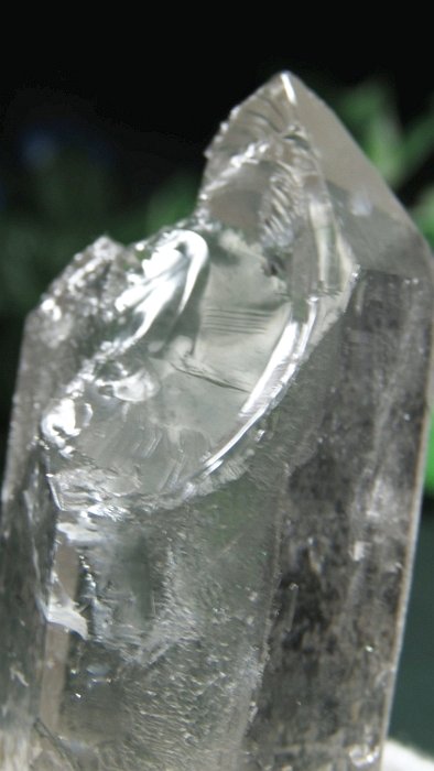 ���C�g�j���O�N�H�[�c ������ 162g (372)