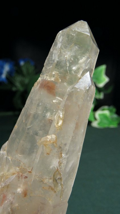 ���C�g�j���O�N�H�[�c ������ 231g (374)