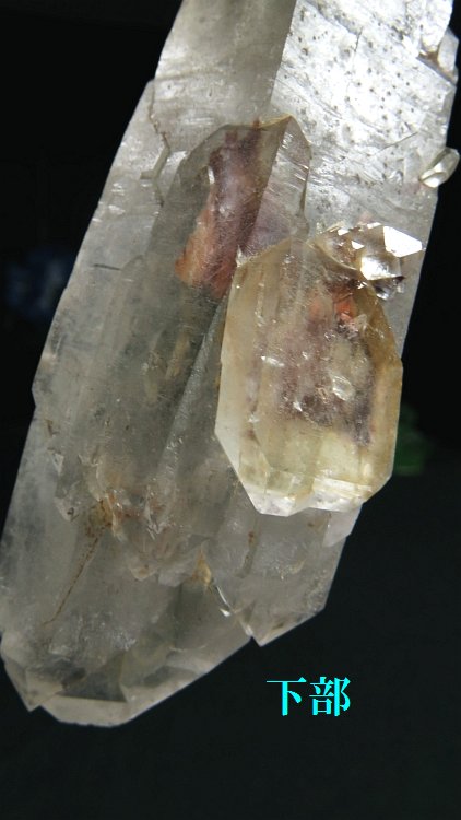 ���C�g�j���O�N�H�[�c ������ 231g (374)