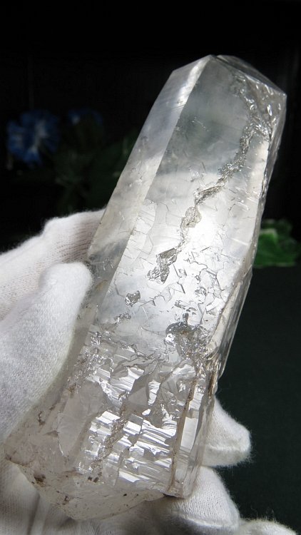 ���C�g�j���O�N�H�[�c ������ 275g (375)