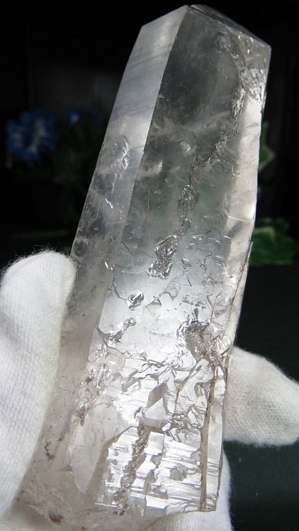 ���C�g�j���O�N�H�[�c ������ 275g (375)