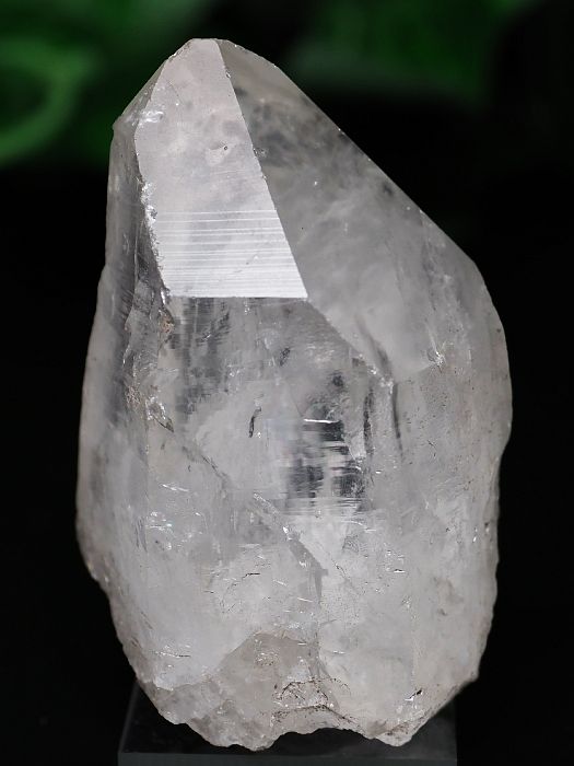 ���C�g�j���O�N�H�[�c ������ 110g (382) 