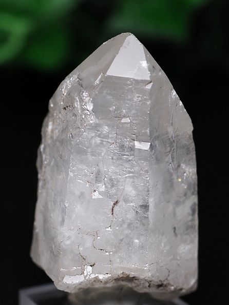 ���C�g�j���O�N�H�[�c ������ 110g (382) 