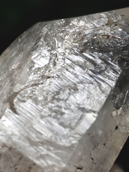 ���C�g�j���O�N�H�[�c ������ 110g (382) 