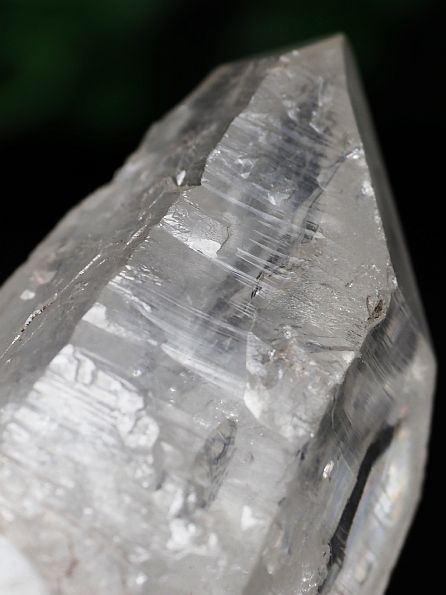 ���C�g�j���O�N�H�[�c ������ 110g (382) 