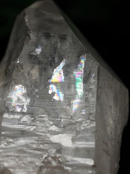 ���C�g�j���O�N�H�[�c ������ 110g (382) 